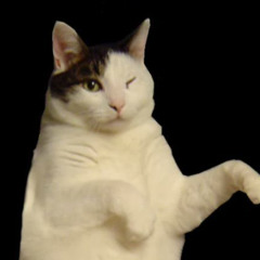 kitty cat dance x death note