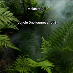 Melanite DJ Jungle trek pt 2