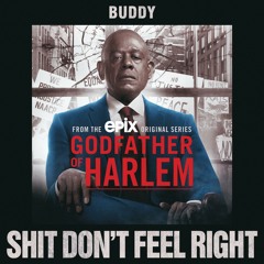 Shit Don't Feel Right (feat. Buddy)
