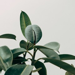 Keeper - Jonathan Ogden (Do Remi Remix)