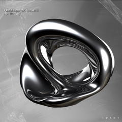 PREMIERE: Federico D'Anchini - Perfect Groove [IW221D]