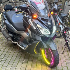 레카로가 운지뛰는 믹셋