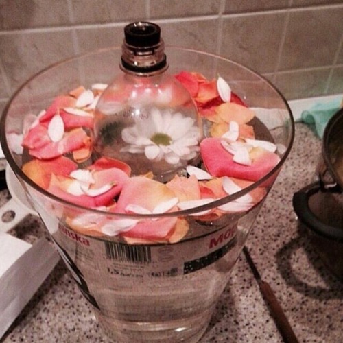 XASSA - Под Одним Солнцем