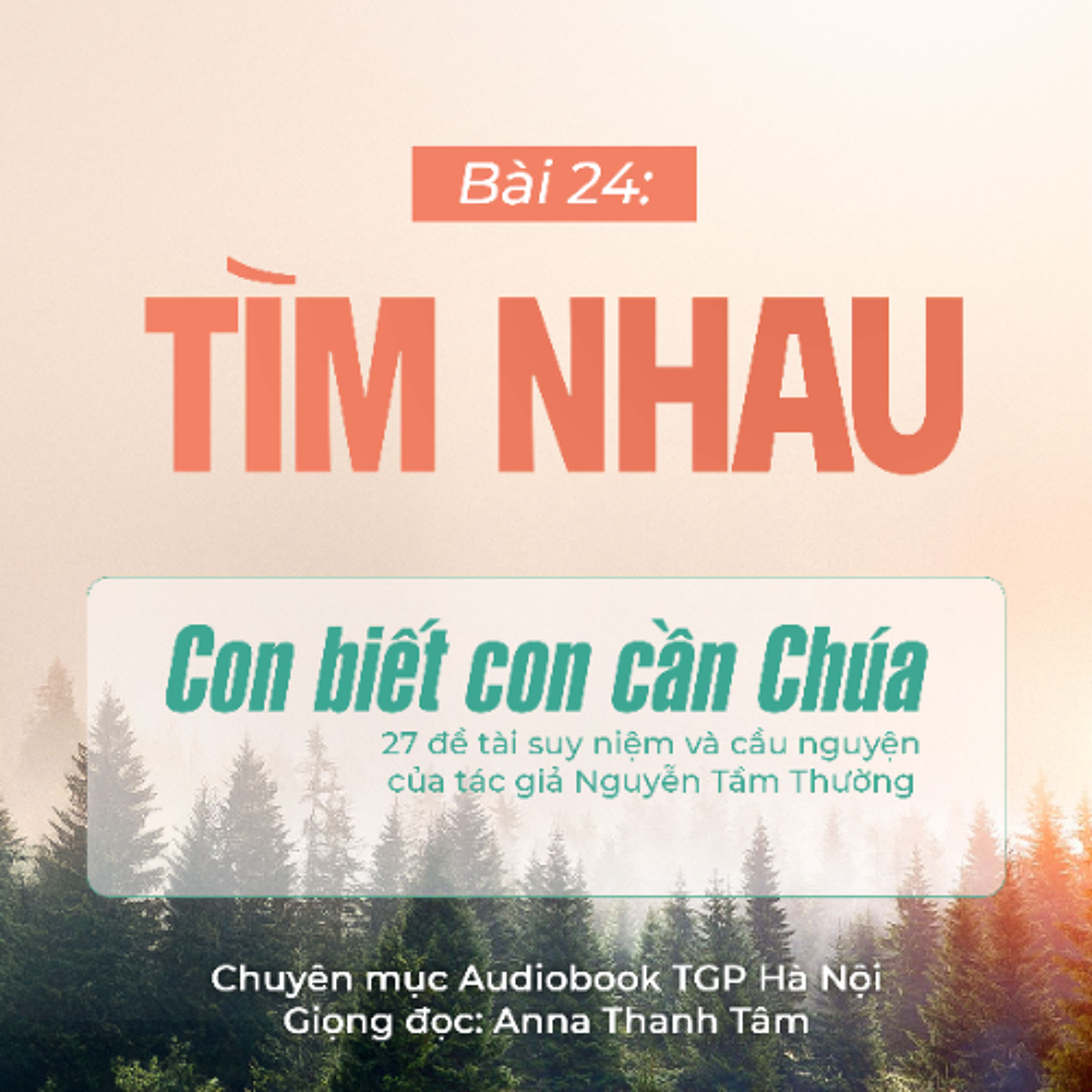 #24 Tìm nhau || Con biết con cần Chúa || Tác giả Nguyễn Tầm Thường