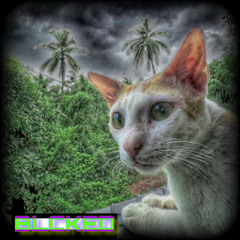 NIGGAS ON MY CHAIN (prod. bandaja)