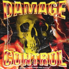 DAMAGE CONTROL (prod. adjacen7)