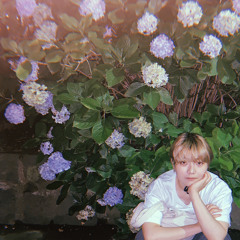 いつかすべてなくした頃に