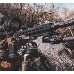 elephant sniper