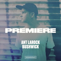 Premiere: Ant LaRock - Bushwick [Brobot Records]