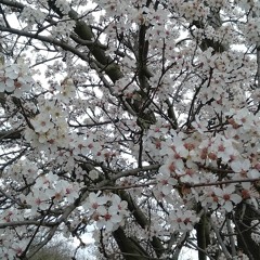 أذكار الصباح بصوتي، رجب 1441 من الهجرة