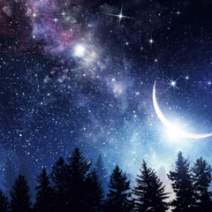 THE ECHOES BOUND - BY LOU  GAA ‘Nii