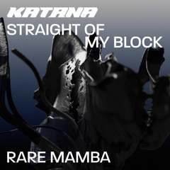Rare Mamba - Straight Of My Block (riko Remix)