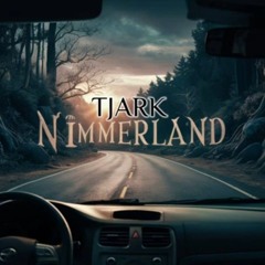 Nimmerland (Techno Edit)