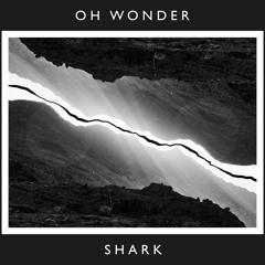 Shark (10 Years On)