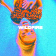 SBTRKT - Wildfire (Eloquin & Olivia Rose Edit)