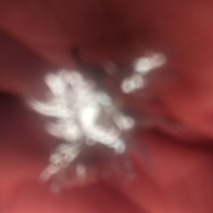 it´s beautiful to remember