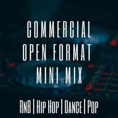 COMMERCIAL OPEN FORMAT MINI MIX