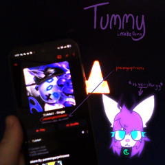 passengerprincess - TUMMY [Learke Remix]