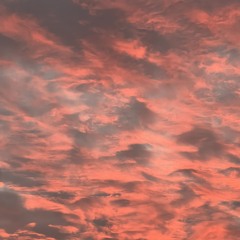 Pepi Soljanka - StreuMix 001