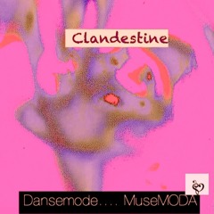 CLANDESTINE (Dub Disco)