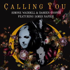 Calling You (feat. James Napier)