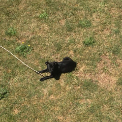 astral projectin (fazezee) {prod.xavi}