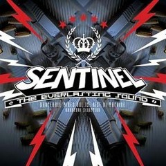 Sentinel Sound - Dancehall Mix Vol 13 - Hardcore Selection - Rise Di Machine [2007]