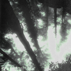 Soul Stash