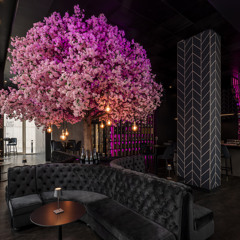 LIVE DJ SET DIALOGUE