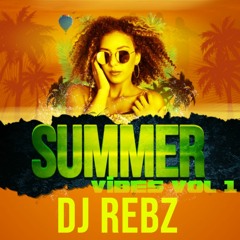 DJ REBZ SUMMER VIBES 1 (2)