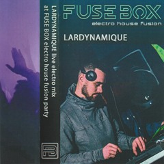 LARDYNAMIQUE – LIVE ELECTRO SET