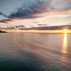 Tangerine Dream 🍊