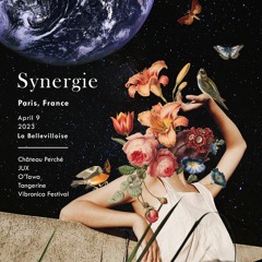 Vidur Live @ Synergie | Paris, France - Club Stage