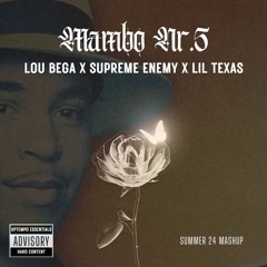 Lou Bega X Supreme Enemy X Lil Texas - Mambo No.5 (Summer 24 Mashup)