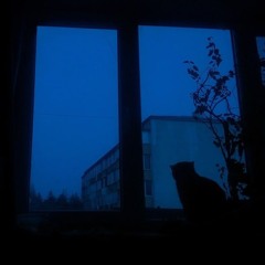 Winter forever - Slately