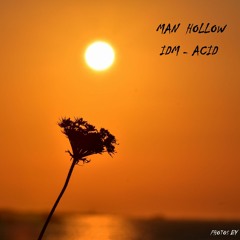 mini mix IDM - ACID