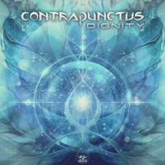 Contrapunctus - Dignity (Original Mix)