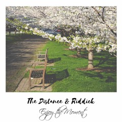 The Distance & Riddick - Enjoy The Moment