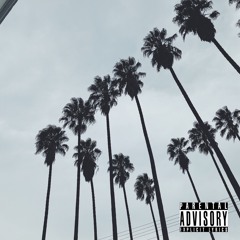 Control chaos - Single - Rich Outka$t & Nate Walker .m4a