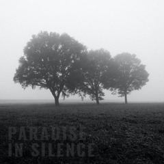 Paradise In Silence [Revisited]