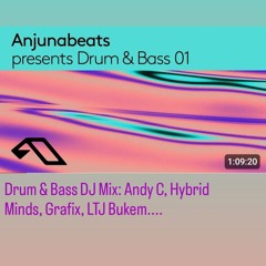 Anjunabeats Drum & Bass DJ Mix (Andy C, Hybrid Minds, Grafix, LTJ Bukem)
