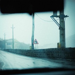 Pollination w/ Nesa Azadikhah | Root Radio 02/06/2022