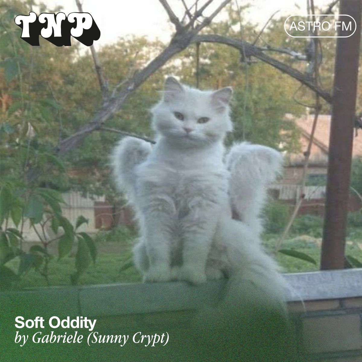 AstroFM 110 // Soft Oddity by Gabriele (Sunny Crypt)
