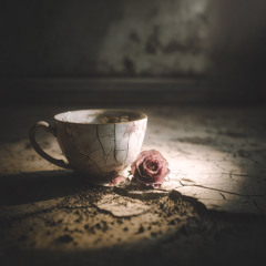 insp* Et Oy Le(Tcup)