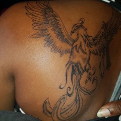 Rise Of The Phoenix vol1