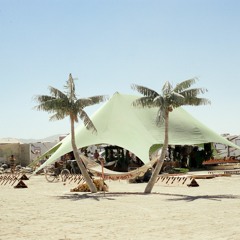 Cousin Woody's Burningman 2022 Playlist Part2