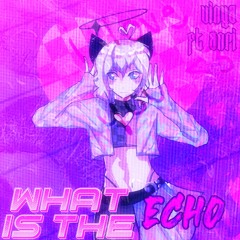 What Is The Echo - ANRI #AOFEST2023