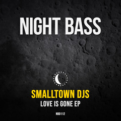 Smalltown DJs & rrotik - Love is Gone (Taiki Nulight Remix)