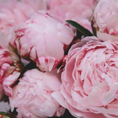 DJ Glaze Embody Dance April 4 2024