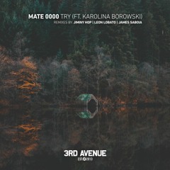 MATE 0000 - Try feat. Karolina Borowski  [3rd Avenue]